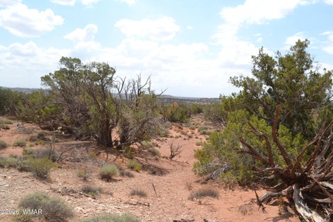 Tiny photo for 3813 S Hay Hollow Road, Snowflake, AZ 85937 (MLS # 262246)