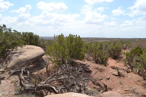Tiny photo for 3813 S Hay Hollow Road, Snowflake, AZ 85937 (MLS # 262246)
