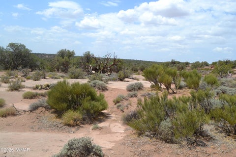 Tiny photo for 3813 S Hay Hollow Road, Snowflake, AZ 85937 (MLS # 262246)