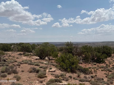 Tiny photo for 3813 S Hay Hollow Road, Snowflake, AZ 85937 (MLS # 262246)