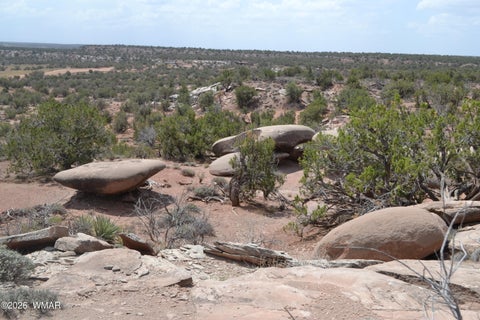 Tiny photo for 3813 S Hay Hollow Road, Snowflake, AZ 85937 (MLS # 262246)