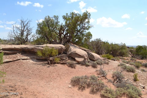 Tiny photo for 3813 S Hay Hollow Road, Snowflake, AZ 85937 (MLS # 262246)