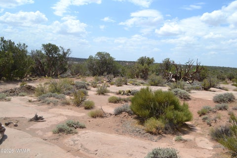 Tiny photo for 3813 S Hay Hollow Road, Snowflake, AZ 85937 (MLS # 262246)