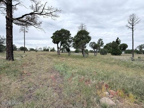 Tiny photo for 1807 Rocky Lane, Show Low, AZ 85901 (MLS # 263527)