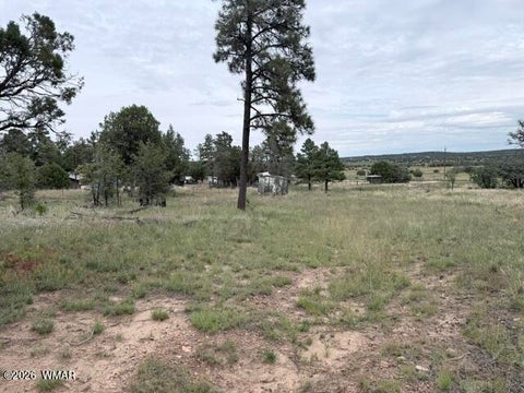 Tiny photo for 1807 Rocky Lane, Show Low, AZ 85901 (MLS # 263527)