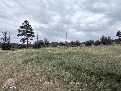 Tiny photo for 1807 Rocky Lane, Show Low, AZ 85901 (MLS # 263527)
