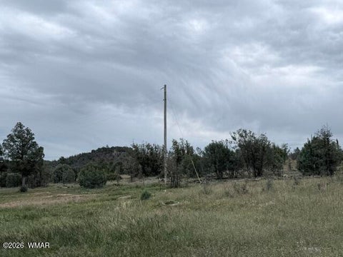 Tiny photo for 1807 Rocky Lane, Show Low, AZ 85901 (MLS # 263527)