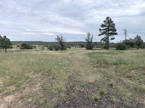 Tiny photo for 1807 Rocky Lane, Show Low, AZ 85901 (MLS # 263527)