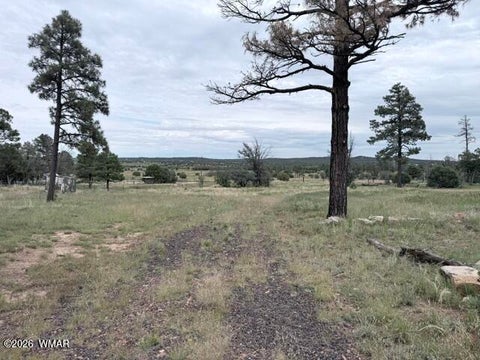 Tiny photo for 1807 Rocky Lane, Show Low, AZ 85901 (MLS # 263527)