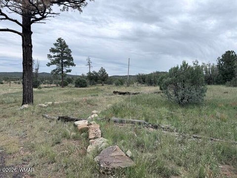 Tiny photo for 1807 Rocky Lane, Show Low, AZ 85901 (MLS # 263527)