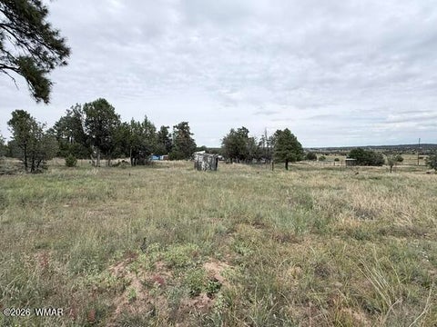 Tiny photo for 1807 Rocky Lane, Show Low, AZ 85901 (MLS # 263527)