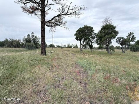 Tiny photo for 1807 Rocky Lane, Show Low, AZ 85901 (MLS # 263527)
