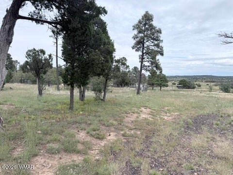 Photo of 1807 Rocky Lane, Show Low, AZ 85901 (MLS # 263527)