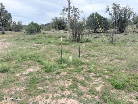 Tiny photo for 1807 Rocky Lane, Show Low, AZ 85901 (MLS # 263527)