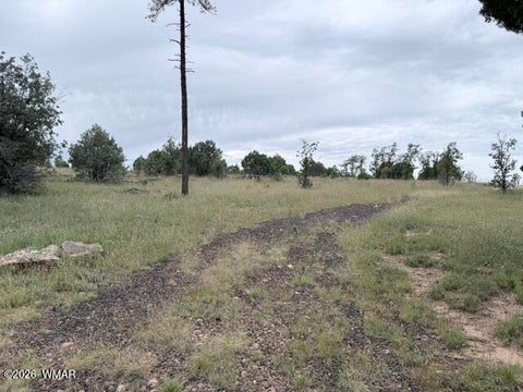 Tiny photo for 1807 Rocky Lane, Show Low, AZ 85901 (MLS # 263527)