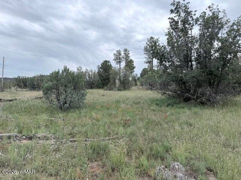 Tiny photo for 1807 Rocky Lane, Show Low, AZ 85901 (MLS # 263527)
