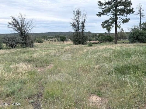 Tiny photo for 1807 Rocky Lane, Show Low, AZ 85901 (MLS # 263527)
