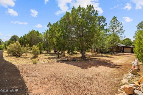 Tiny photo for 2926 Homestead Drive, Overgaard, AZ 85933 (MLS # 263018)