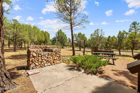 Tiny photo for 2926 Homestead Drive, Overgaard, AZ 85933 (MLS # 263018)