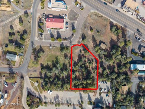 Tiny photo for 1381 E Malapai Road, Show Low, AZ 85901 (MLS # 259067)