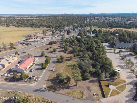 Tiny photo for 1381 E Malapai Road, Show Low, AZ 85901 (MLS # 259067)