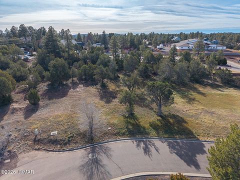 Tiny photo for 1381 E Malapai Road, Show Low, AZ 85901 (MLS # 259067)