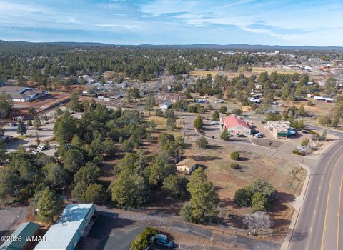 Tiny photo for 1381 E Malapai Road, Show Low, AZ 85901 (MLS # 259067)