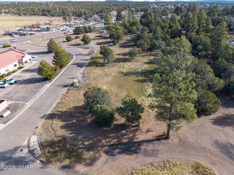 Tiny photo for 1381 E Malapai Road, Show Low, AZ 85901 (MLS # 259067)