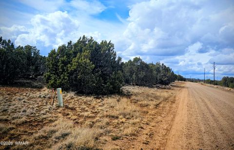 Tiny photo for 8477 Airport Drive, Show Low, AZ 85901 (MLS # 259516)