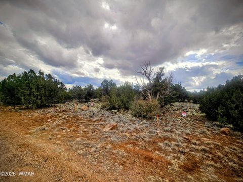 Tiny photo for 8477 Airport Drive, Show Low, AZ 85901 (MLS # 259516)
