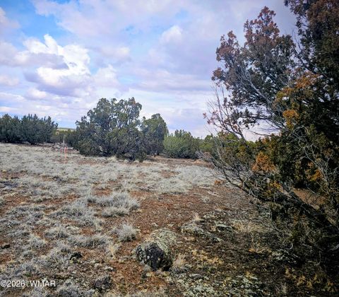Tiny photo for 8477 Airport Drive, Show Low, AZ 85901 (MLS # 259516)