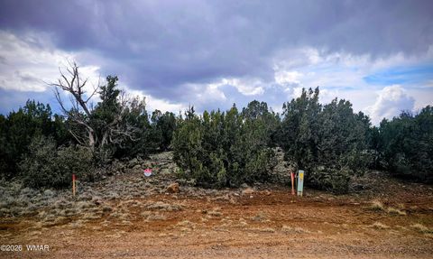 Tiny photo for 8477 Airport Drive, Show Low, AZ 85901 (MLS # 259516)