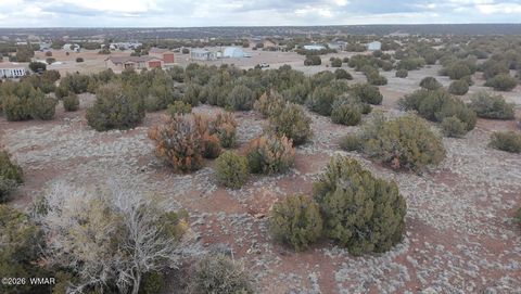 Tiny photo for 8477 Airport Drive, Show Low, AZ 85901 (MLS # 259516)