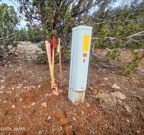 Tiny photo for 8477 Airport Drive, Show Low, AZ 85901 (MLS # 259516)