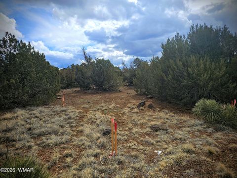 Tiny photo for 8477 Airport Drive, Show Low, AZ 85901 (MLS # 259516)