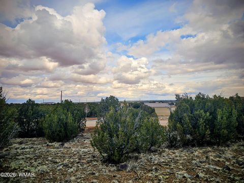 Tiny photo for 8477 Airport Drive, Show Low, AZ 85901 (MLS # 259516)