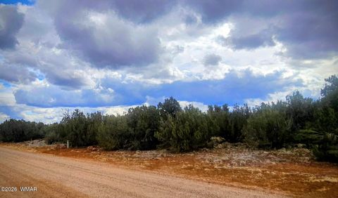 Tiny photo for 8477 Airport Drive, Show Low, AZ 85901 (MLS # 259516)