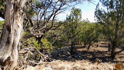 Photo of 1849 Rocky Bottom Place, Show Low, AZ 85901 (MLS # 256481)