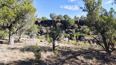 Tiny photo for 1849 Rocky Bottom Place, Show Low, AZ 85901 (MLS # 256481)