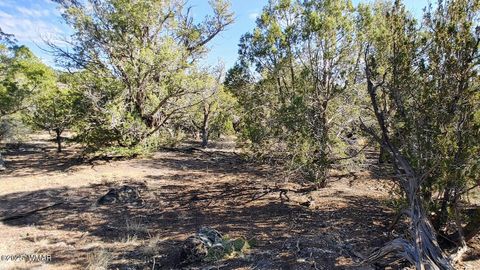 Tiny photo for 1849 Rocky Bottom Place, Show Low, AZ 85901 (MLS # 256481)
