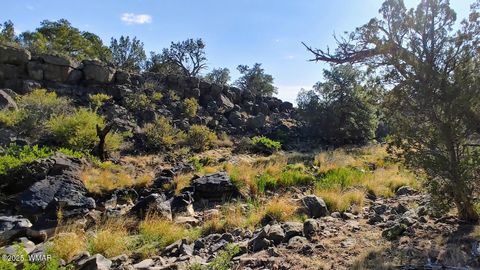 Tiny photo for 1849 Rocky Bottom Place, Show Low, AZ 85901 (MLS # 256481)