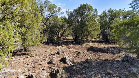 Tiny photo for 1849 Rocky Bottom Place, Show Low, AZ 85901 (MLS # 256481)