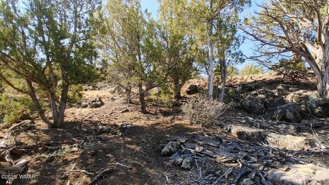 Tiny photo for 1849 Rocky Bottom Place, Show Low, AZ 85901 (MLS # 256481)