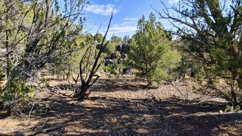 Tiny photo for 1849 Rocky Bottom Place, Show Low, AZ 85901 (MLS # 256481)