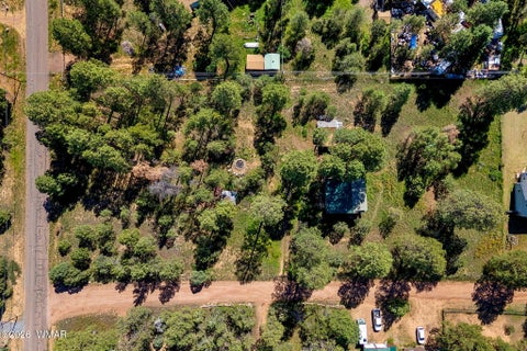 Tiny photo for 2873 Turkey Trail, Overgaard, AZ 85933 (MLS # 262784)