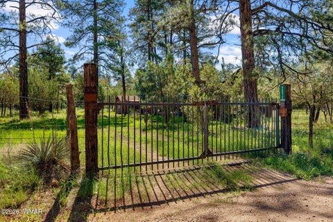 Tiny photo for 2873 Turkey Trail, Overgaard, AZ 85933 (MLS # 262784)