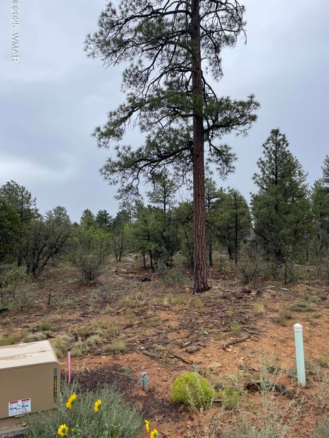 Photo of 650 S Pine Haven Drive, Show Low, AZ 85901 (MLS # 258344)