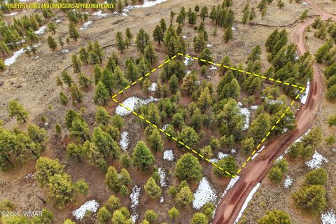 Photo of 20 County Road N1332, Greer, AZ 85927 (MLS # 259423)