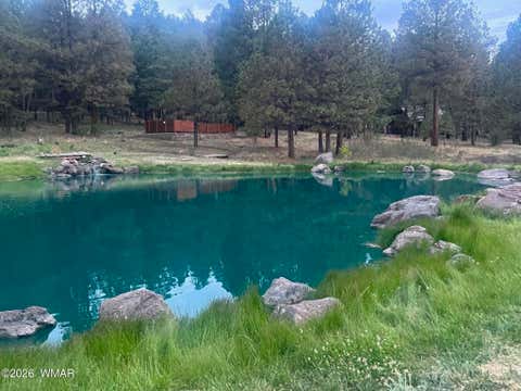 Tiny photo for 20 County Road N1332, Greer, AZ 85927 (MLS # 259423)