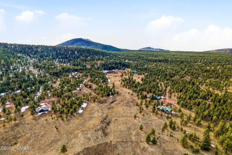 Tiny photo for 20 County Road N1332, Greer, AZ 85927 (MLS # 259423)